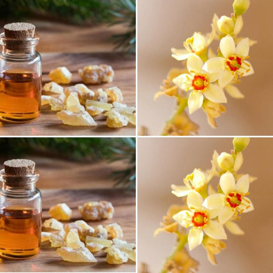 The Good Soap Frankincense Moisturiser Bar