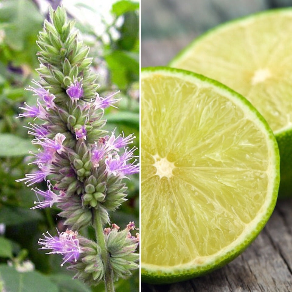 A Patchouli flower and a lime cut in half. Both oils are used in The Good Soap Patchouli and Lime deodorant bar