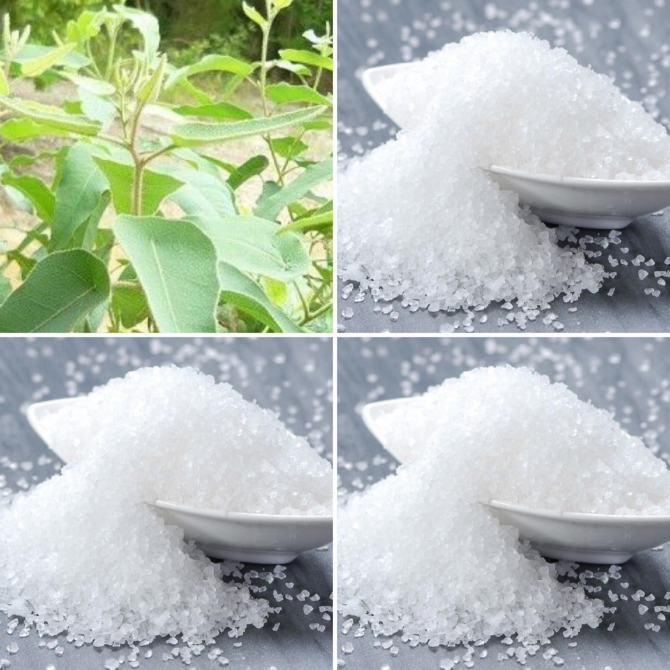 Lemon Eucalyptus with ceramic bowls of salt, ingredients in The Good Soap Lemon Eucalyptus Salt Soap