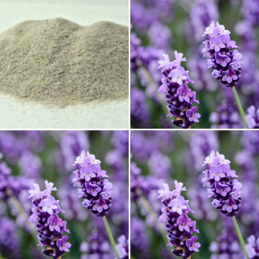 Fine grade pumice and fresh lavender, ingredients in The Good Soap lavender pumice soap