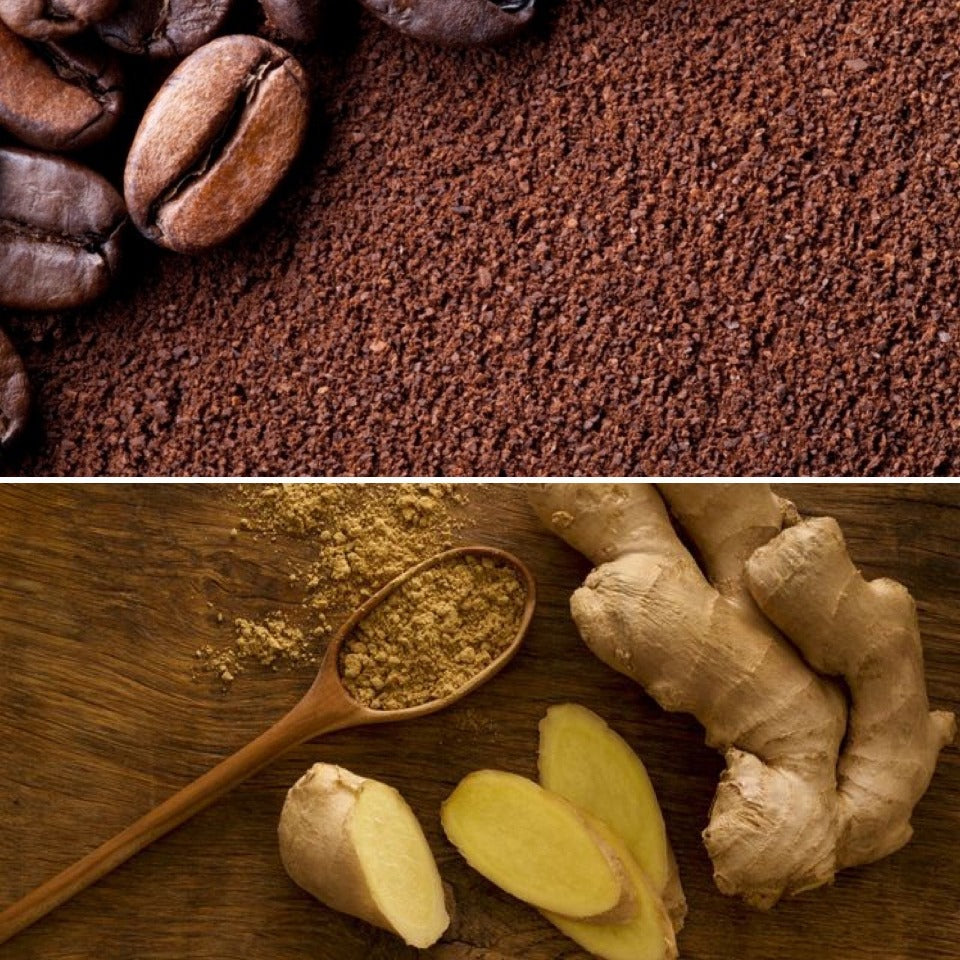 Coffee grounds and ginger roots, Ingredients for coffee and ginger shampoo bar