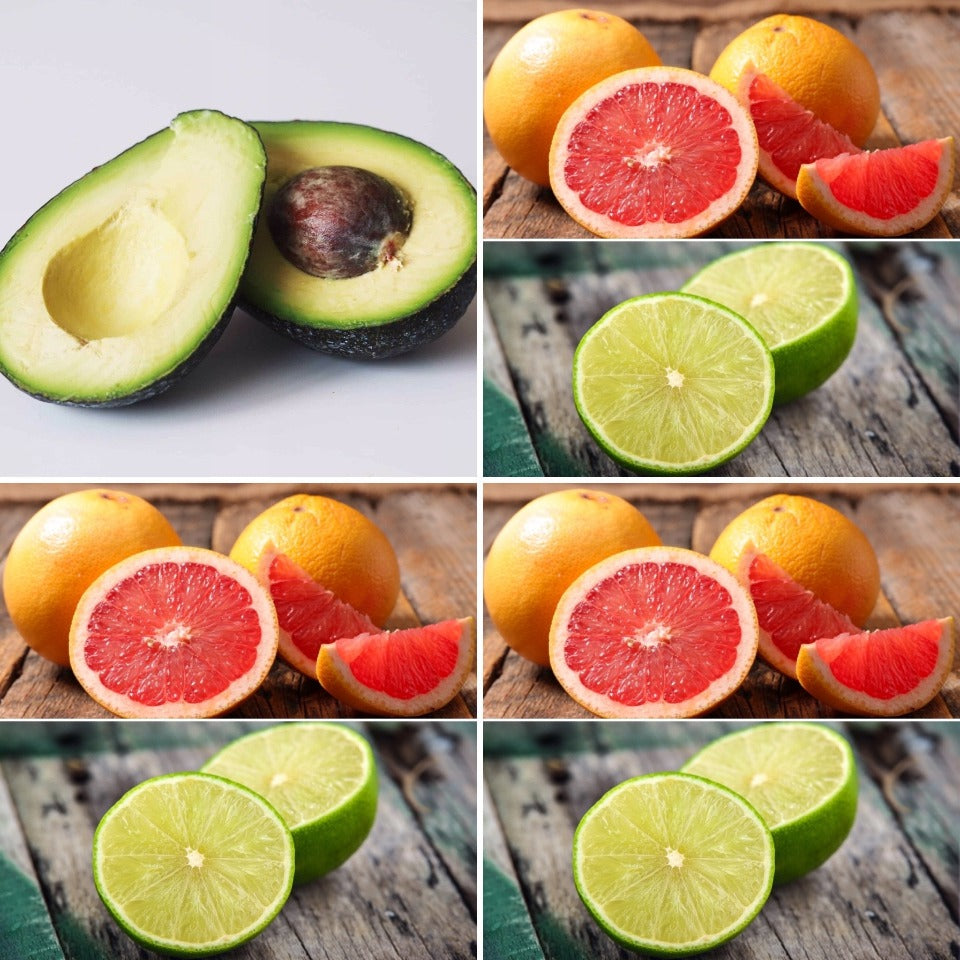 Avocados, grapefruits and limes - ingredients in The Good Soap Shave Soap