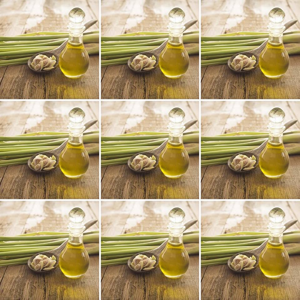 Bottles of lemongrass essential oil with fresh lemongrass, used as ingredients in The Good Soap natural deodorant bar