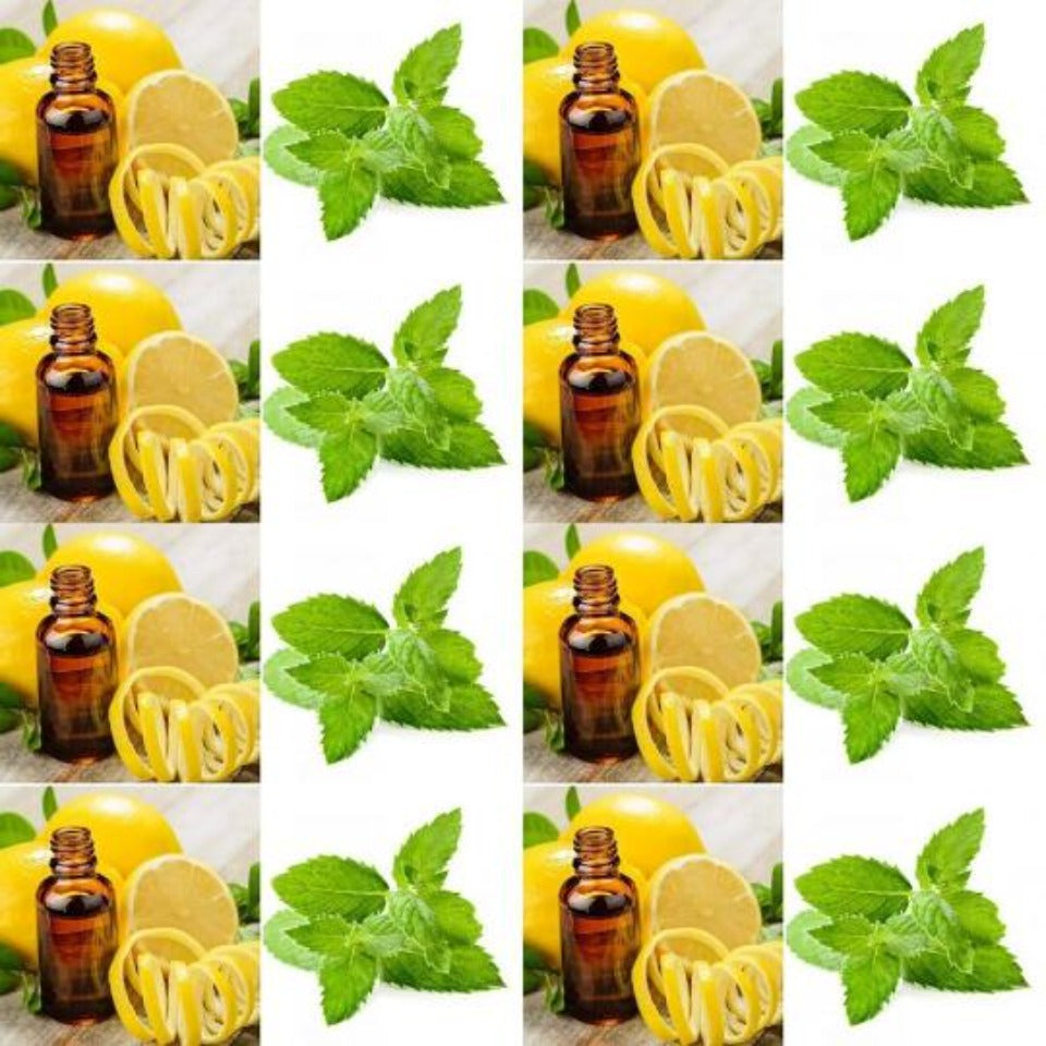 Glass bottles of spearmint essential oil and sprigs of spearmint, ingredients in The Good Soap Spearmint and Lemon solid deodorant bar