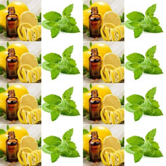 Glass bottles of spearmint essential oil and sprigs of spearmint, ingredients in The Good Soap Spearmint and Lemon solid deodorant bar