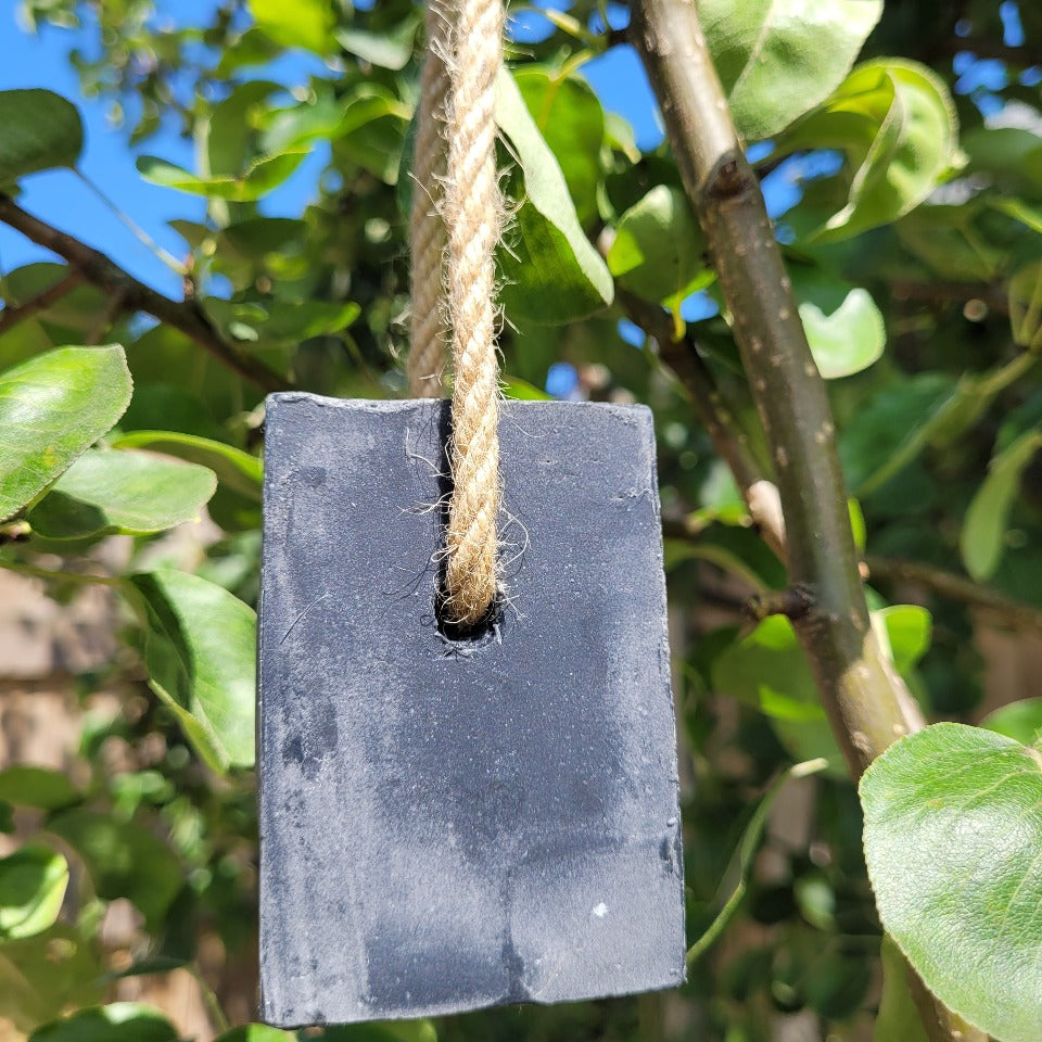 An Activated Charcoal soap on a rope, hanging from a tree