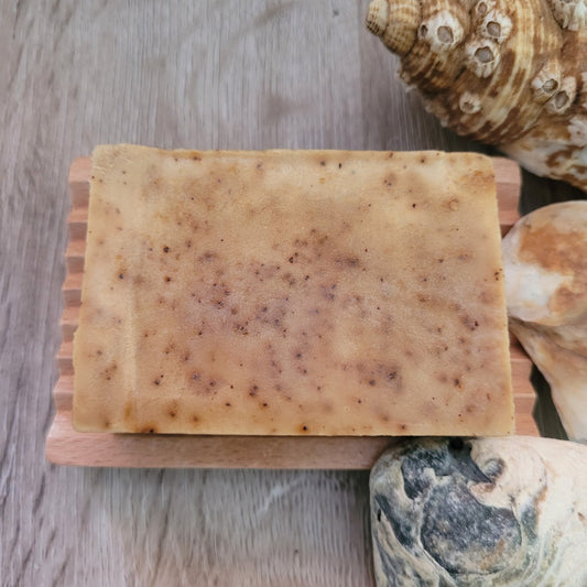 A Coffee and Ginger Soap & Shampoo Bar with no packaging on a wooden soap dish, there are shells for decoration.