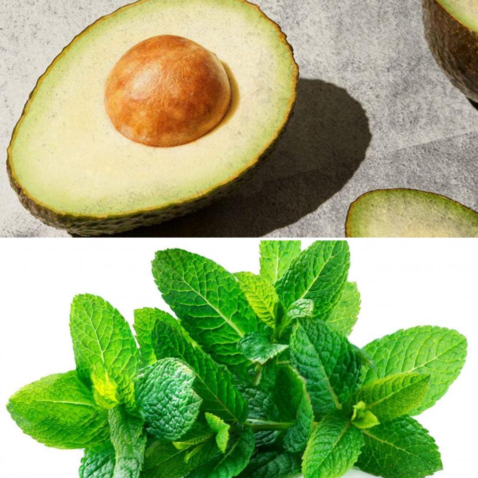 Avocado and Mint