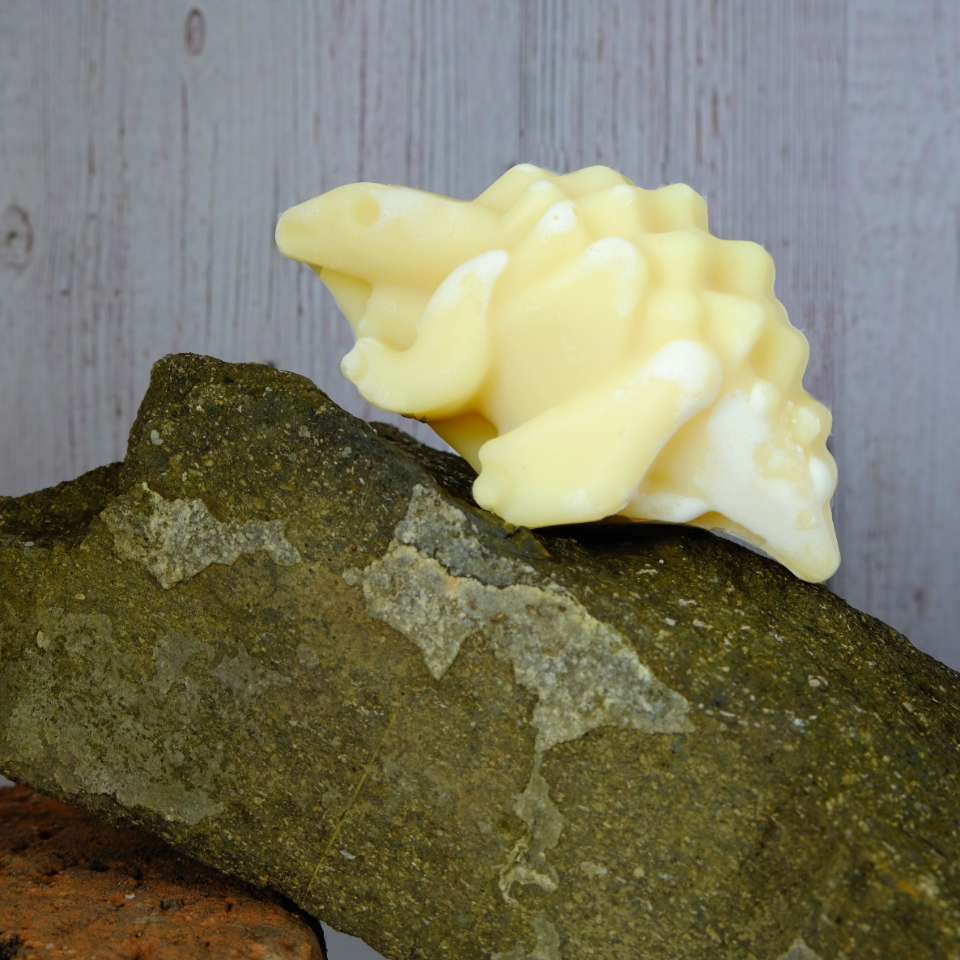 Dinosaur shaped natural soap for children. This soap is perched on a rock