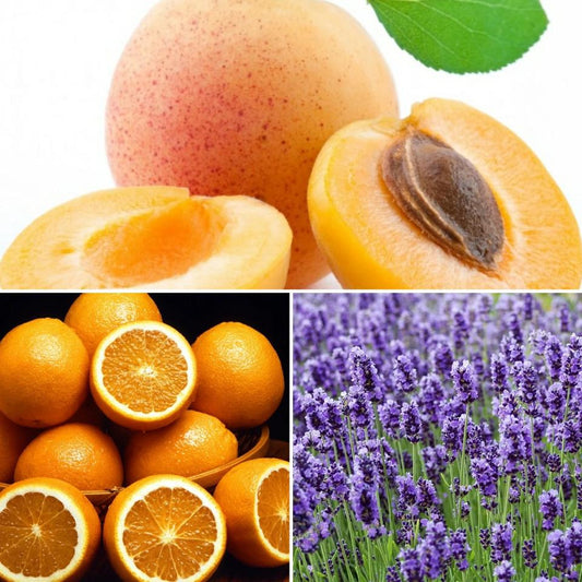 Apricot, Orange and Lavender ingredients in a Good Soap solid moisturiser bar