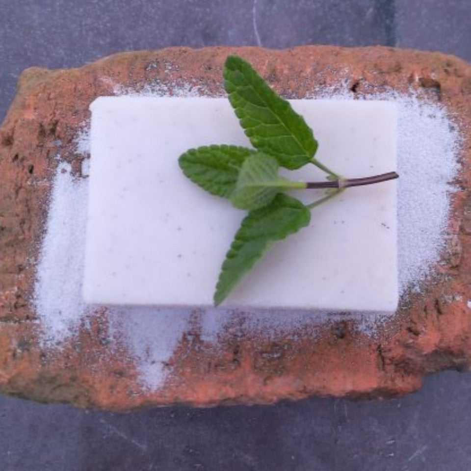 A natural peppermint pumice soap on a pumice and brick background, with a sprig of mint