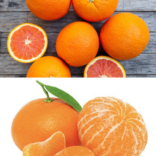 Tangerine and Orange Tinned Skin Balm