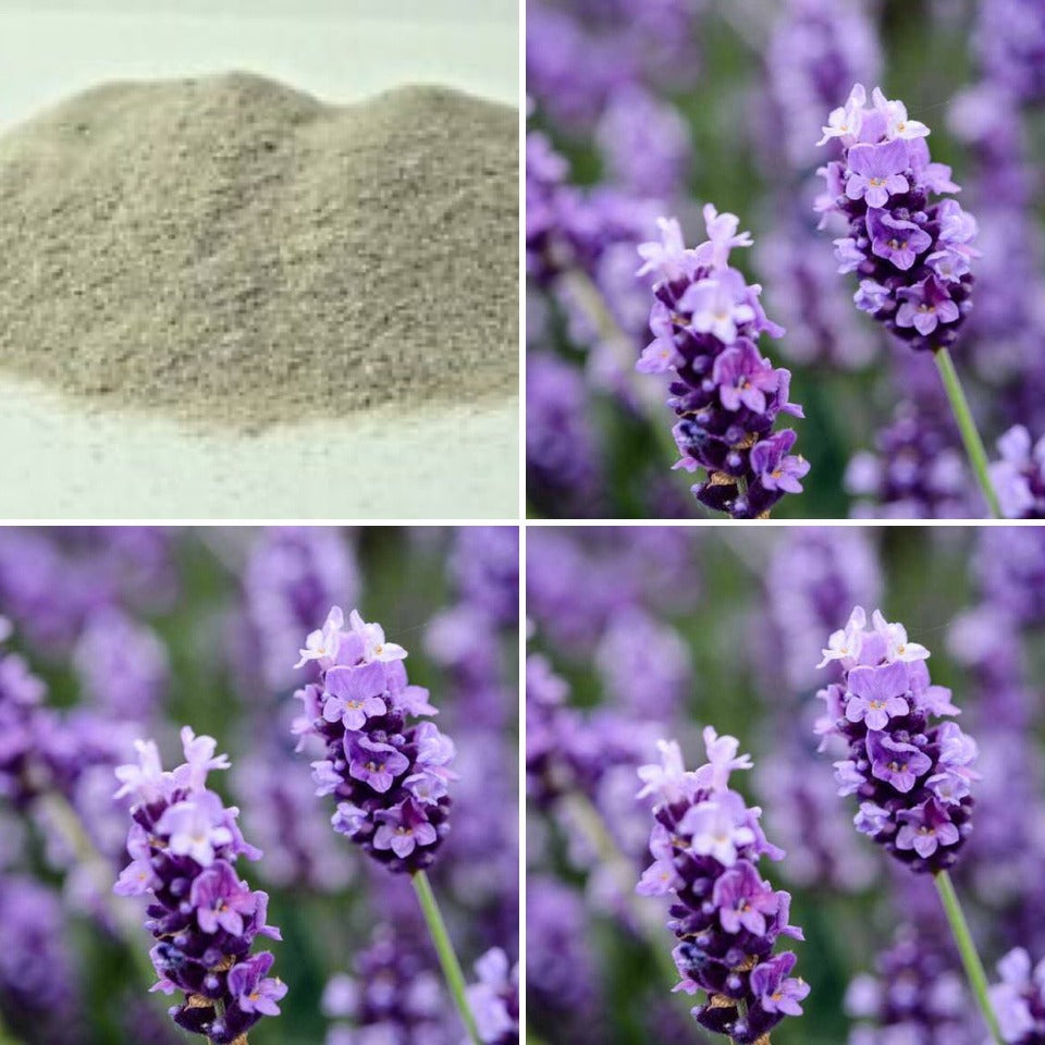 Fine grade pumice and fresh lavender, ingredients in The Good Soap lavender pumice soap