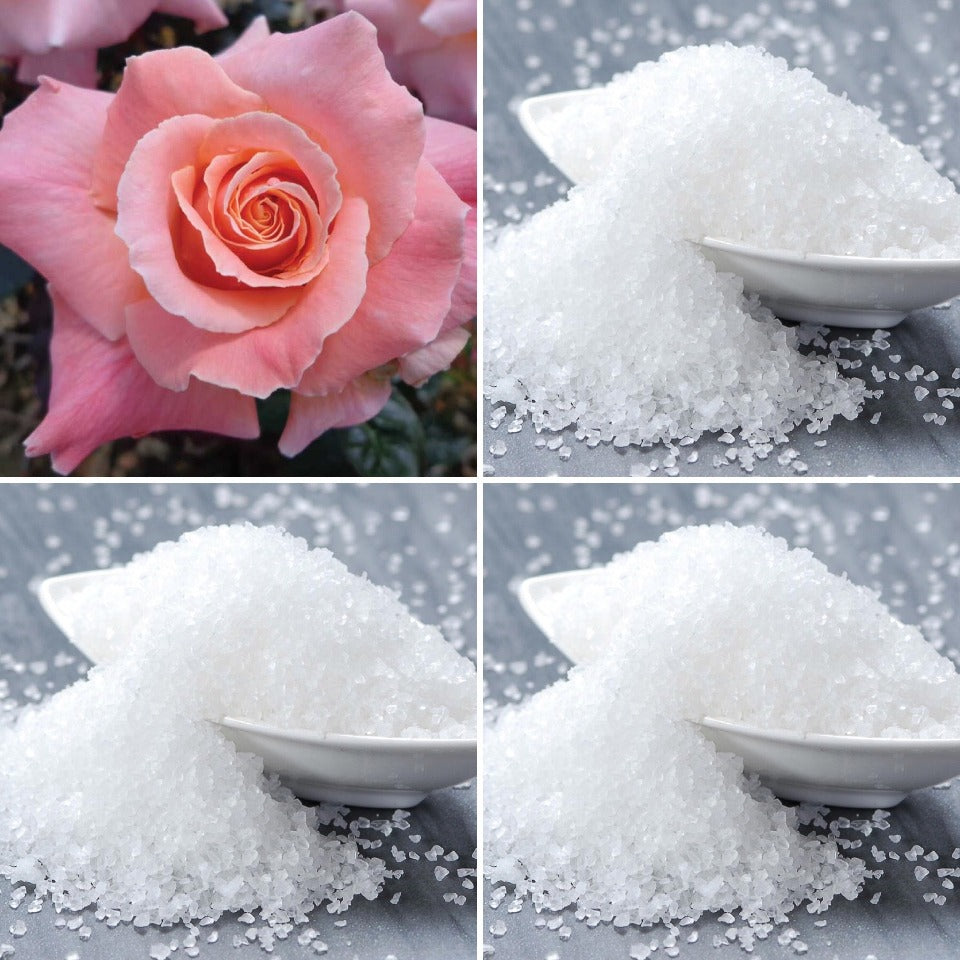A Rose and some ceramic bowls of sea salt, ingredients in a Good Soap Rose Salt Soap