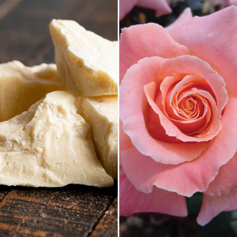 A pile of cocoa butter and a pink rose, ingredients in The Good Soap Cocoa Butter and Rose tineed skin balm