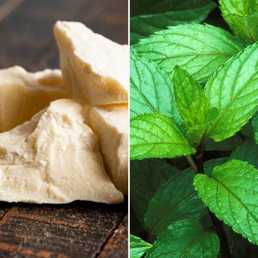 Cocoa butter and fresh peppermint leaves, ingredients in The Good Soap moisturiser balm