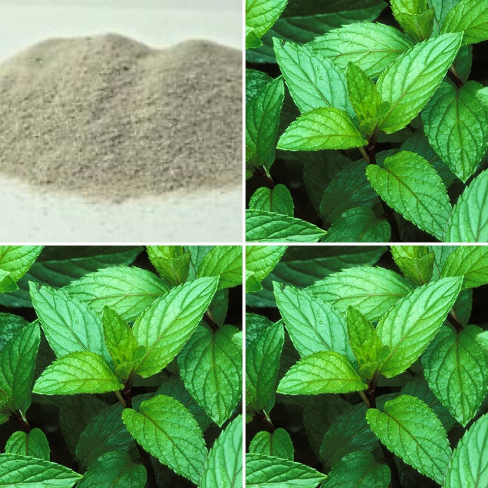 Fine pumice and peppermint leaves, ingredients in The Good Soap pumice soap 