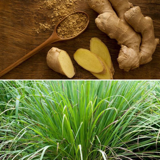 Ingredients in lemongrass and ginger soap bar