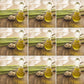 Bottles of lemongrass essential oil with fresh lemongrass, used as ingredients in The Good Soap natural deodorant bar
